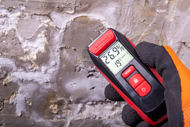 Best Commercial Mold Removal  in Waimea, HI